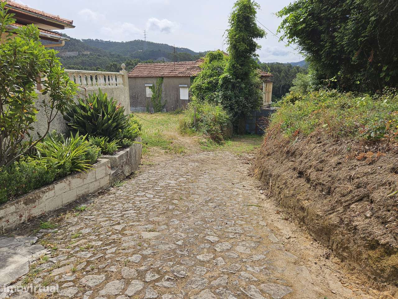 Terreno em Nogueira do Cravo-8