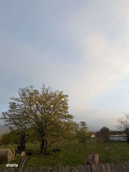 Vand urgent teren intravilan 4877 mp Cerna-Tulcea - Imagine principală: 4/5