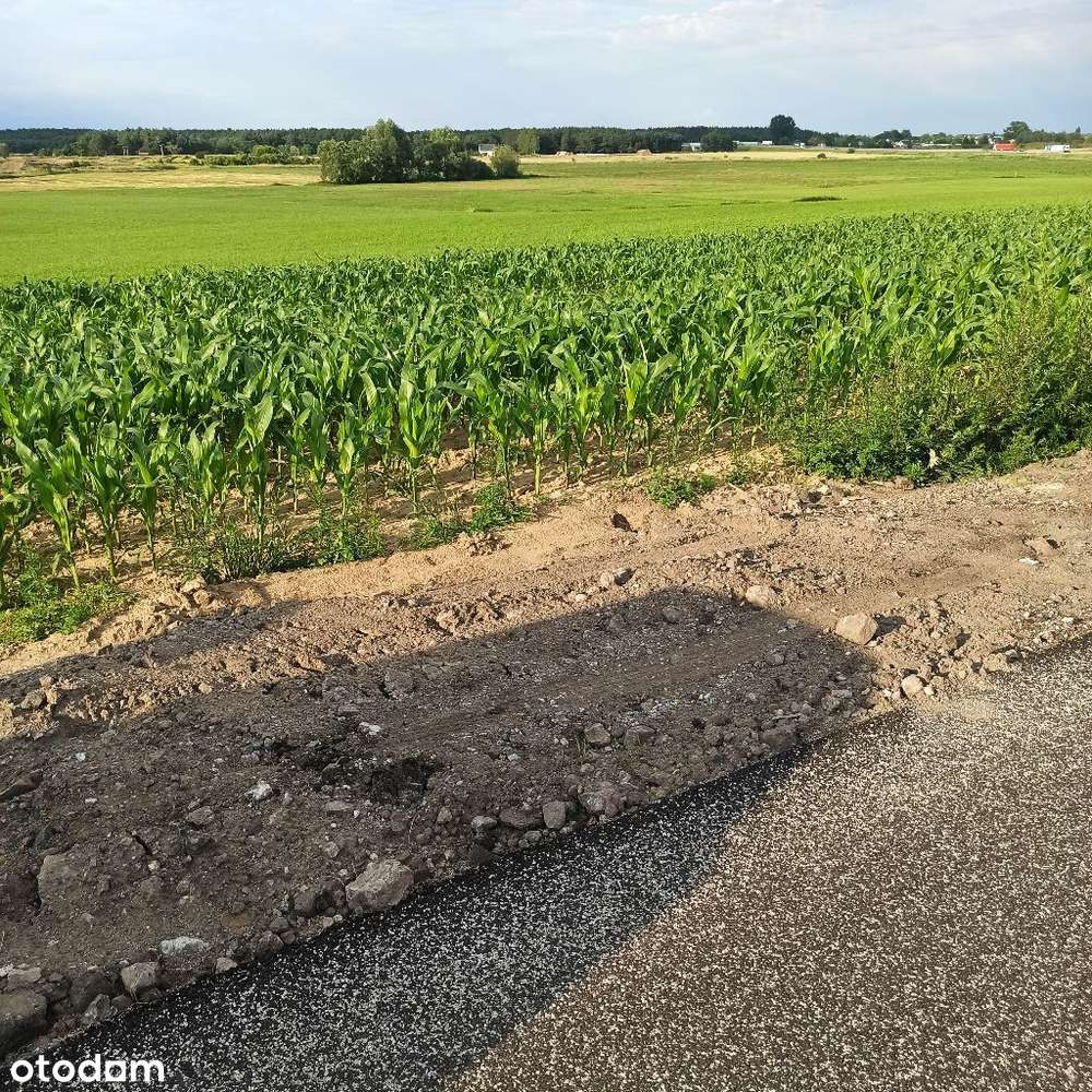 Działki usługowe Sierakowo 4000m2 - 8000m2-9