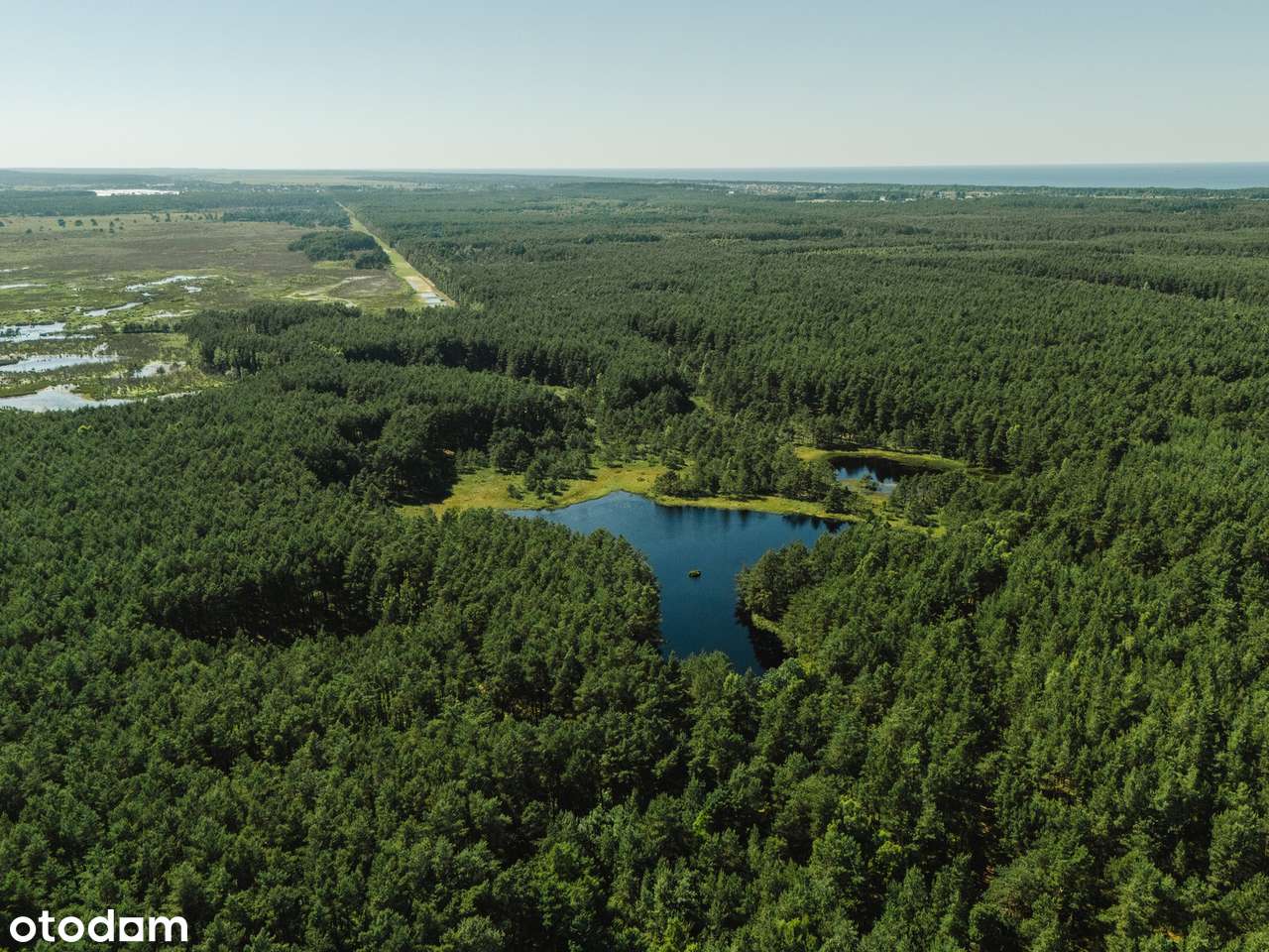 Czarny Młyn - Mieroszyno blisko Jastrzębia Góra - piękna działka WZ-ka - Pełny obrazek: 5/9