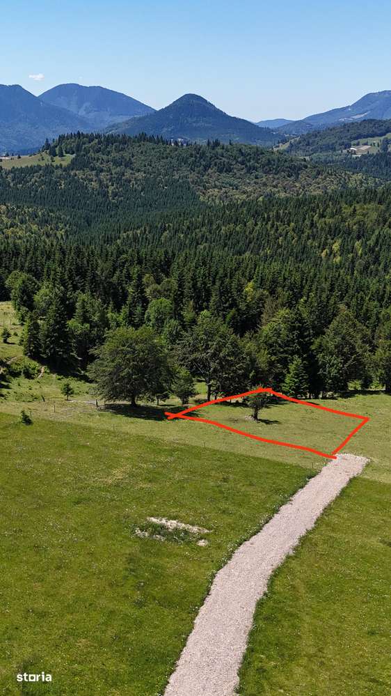 TEREN DE VÂNZARE – 2 parcele de 7 Ari – Pasul Tihuța la cota 1200 - Imagine principală: 3/9