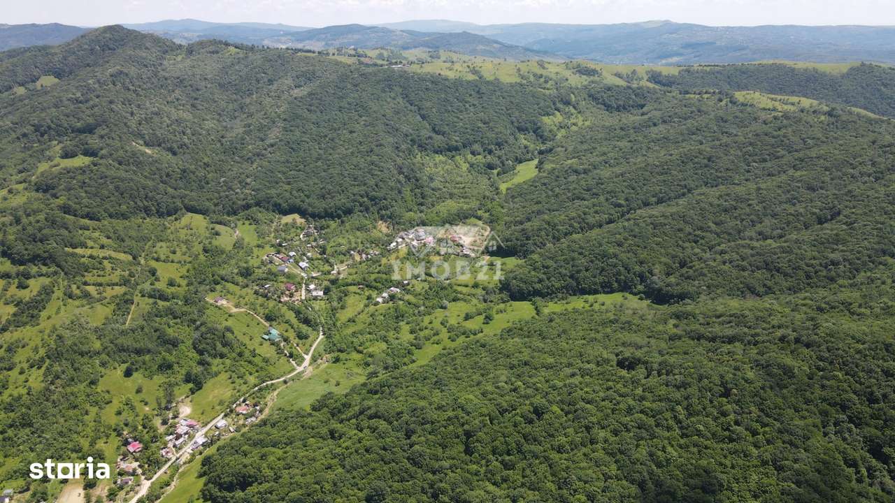 Teren spectaculos cu padure, livada si priveliste panoramica in Soimar-9