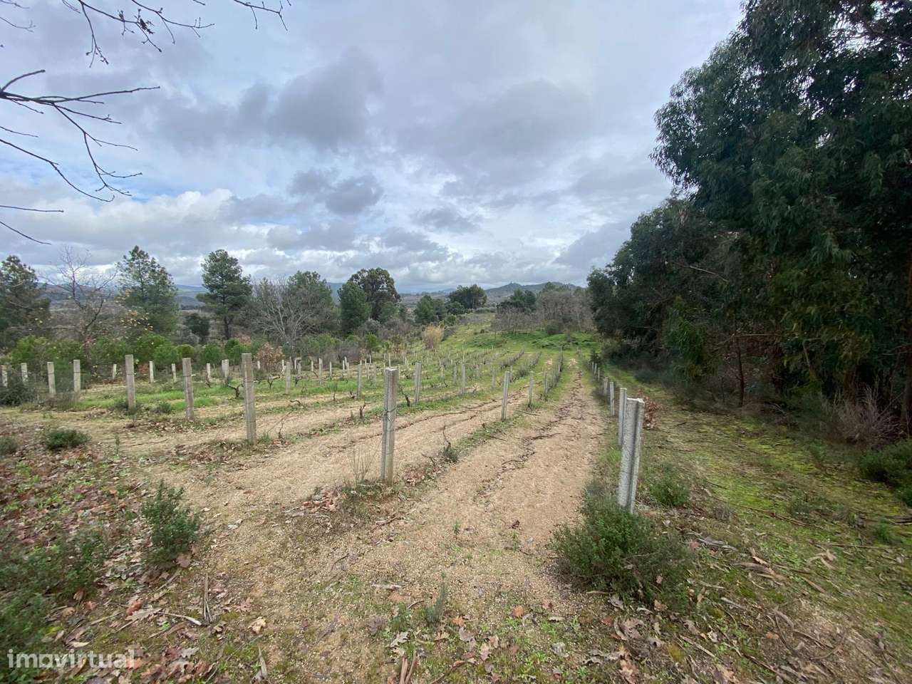 Quintinha - Grande imagem: 3/21