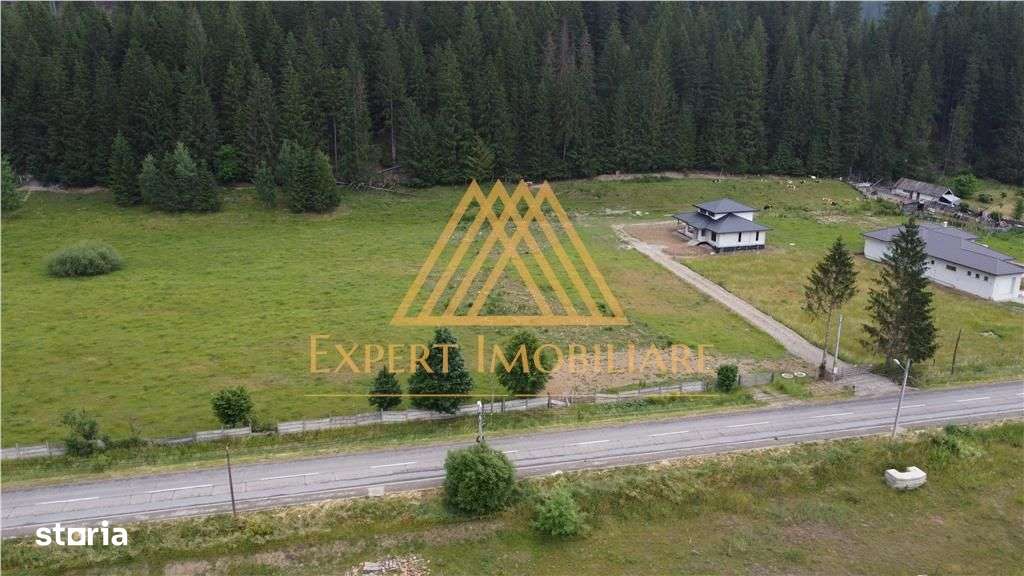 Teren 5000 mp in oras Gura Humorului  toate utilitatile NEGOCIABIL-6