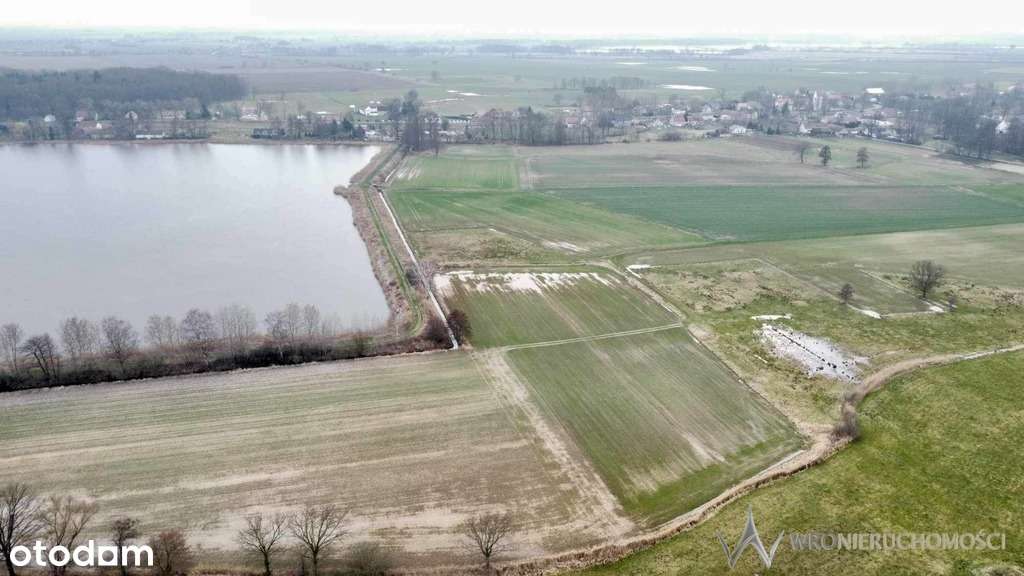 Duża działka budowlana | Widok na staw - Pełny obrazek: 4/6