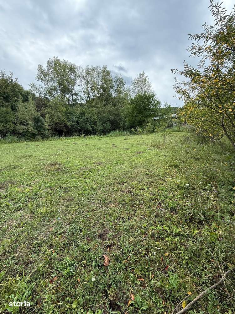 Poiana Câmpina - teren intravilan 3429mp - 50000 Euro - Imagine principală: 5/5