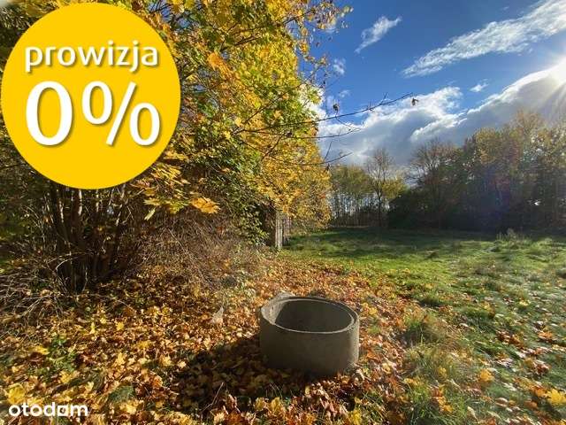 Siedlisko | 8,2 ha | Jędrzejewo k. Czarnkowa-7