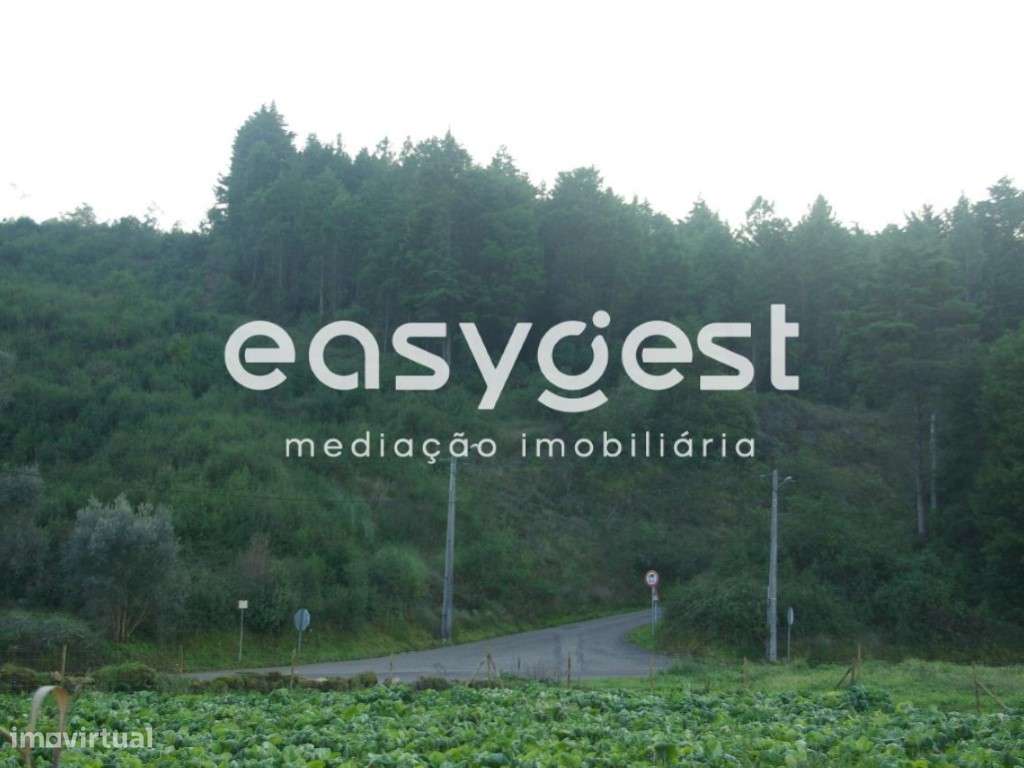 Terreno para construção em Castelo Viegas - Frente estrada - Grande imagem: 2/3