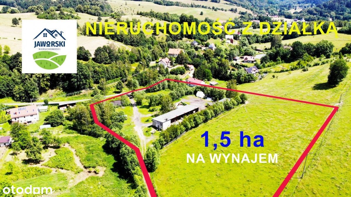 1,5 ha działka na wynajem