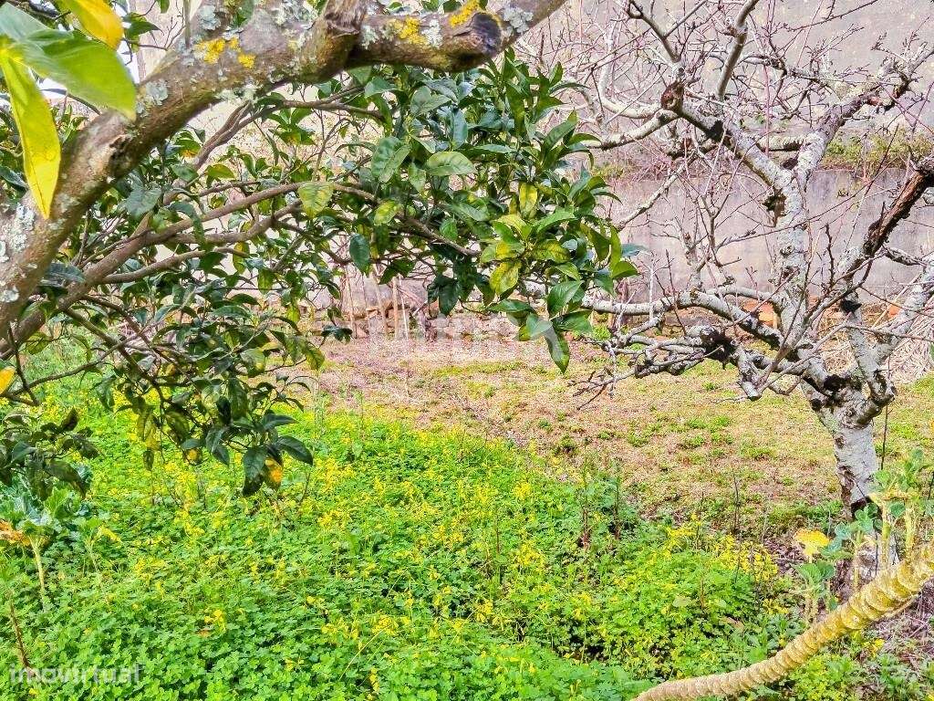 Ruína para recuperar com terreno de 1.050 m2 poço e árvores de fruto A - Grande imagem: 4/23
