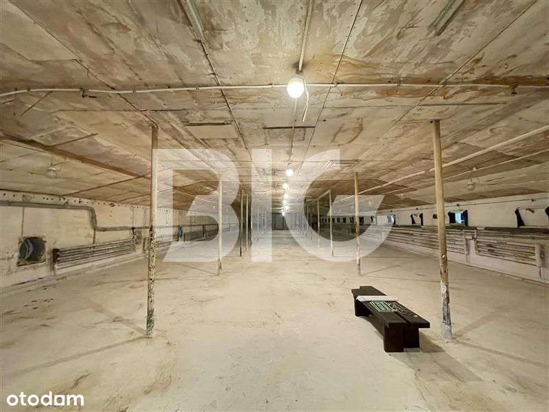 Magazyn, hala produkcyjna. - Pełny obrazek: 4/9