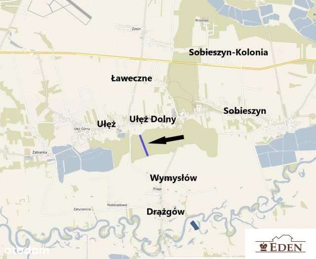 Działki Leśne 1,26 ha we wsi Ułęż, gm. Ułęż, woj. lubelskie - Pełny obrazek: 4/7