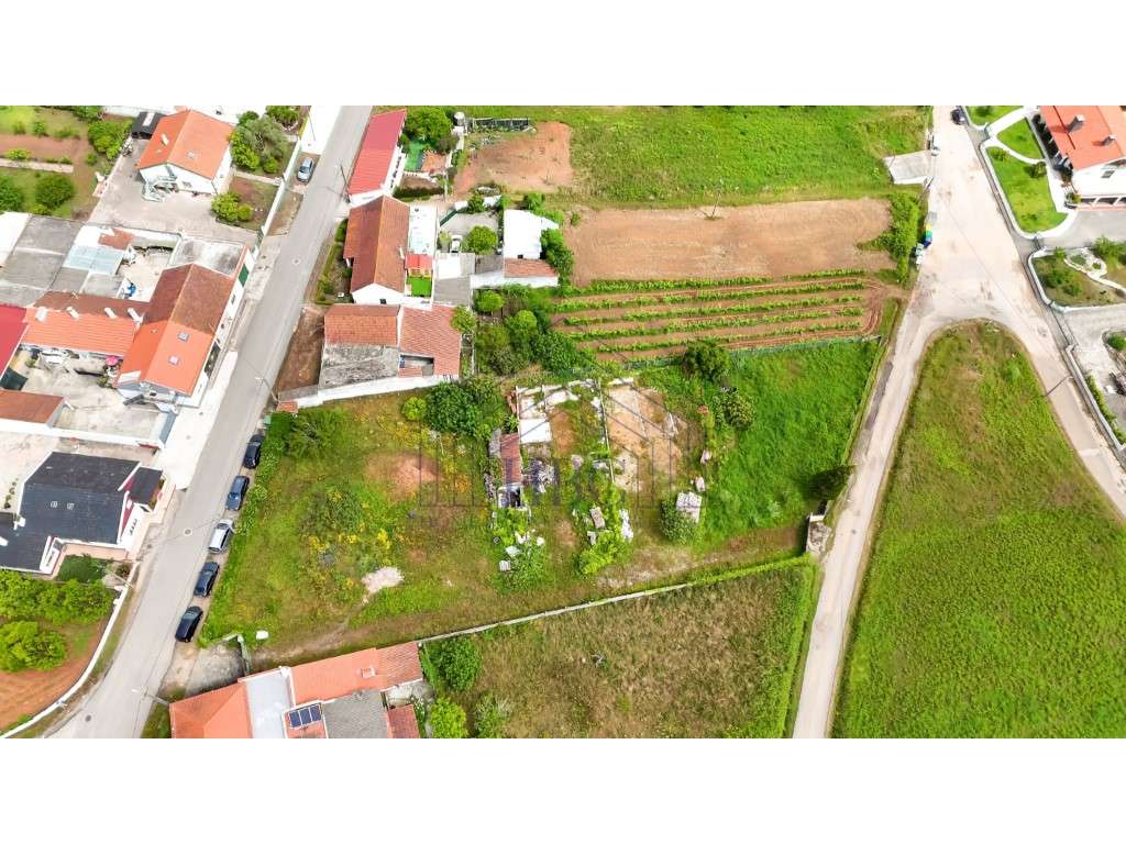 Terreno com Potencial de Construção e Vista Serra de Montejunto - B...-6