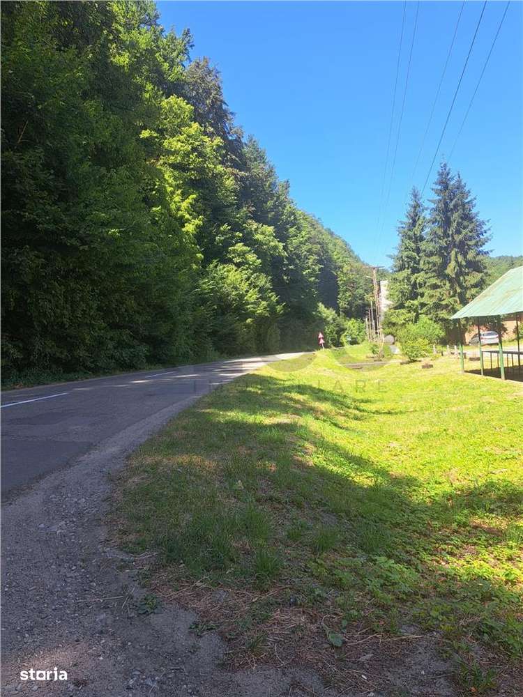 RECO Apartament cu doua camere in Padurea Neagra - Imagine principală: 3/5