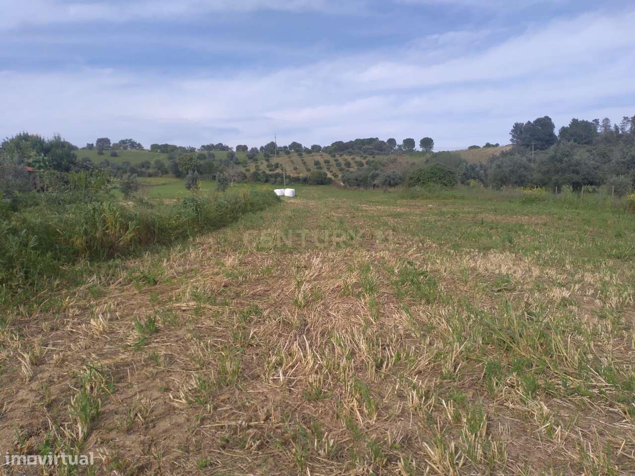 Terreno misto para construção - Grande imagem: 4/9