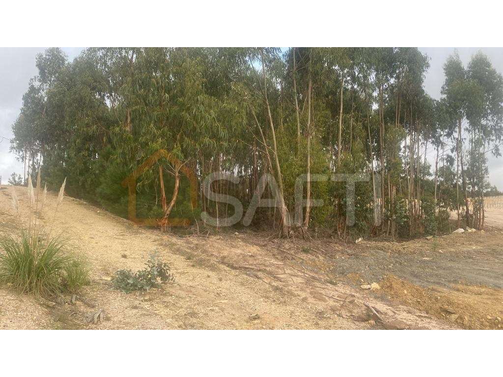 Terreno Industrial | Paúl, Torres Vedras | 4.120 m² - Grande imagem: 4/32