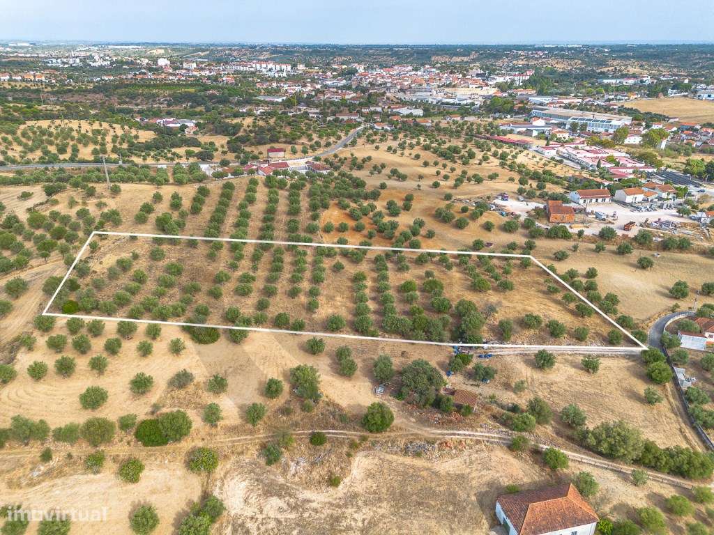 Terreno com potencial construtivo em Alcanena-6