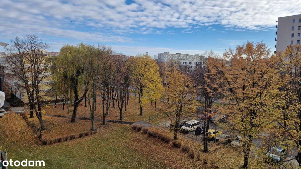 Super lokalizacja !!! - Pełny obrazek: 3/11