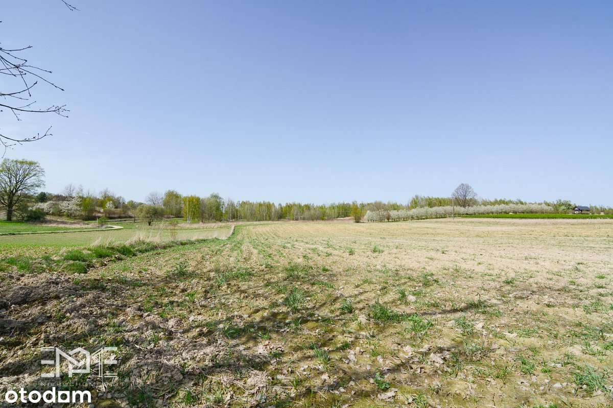 Działka inwestycyjna 3663 mkw - Kazimierz Dolny - Pełny obrazek: 5/6