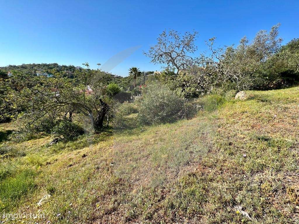 Terreno com Projeto Aprovado com Excelente Localização-11