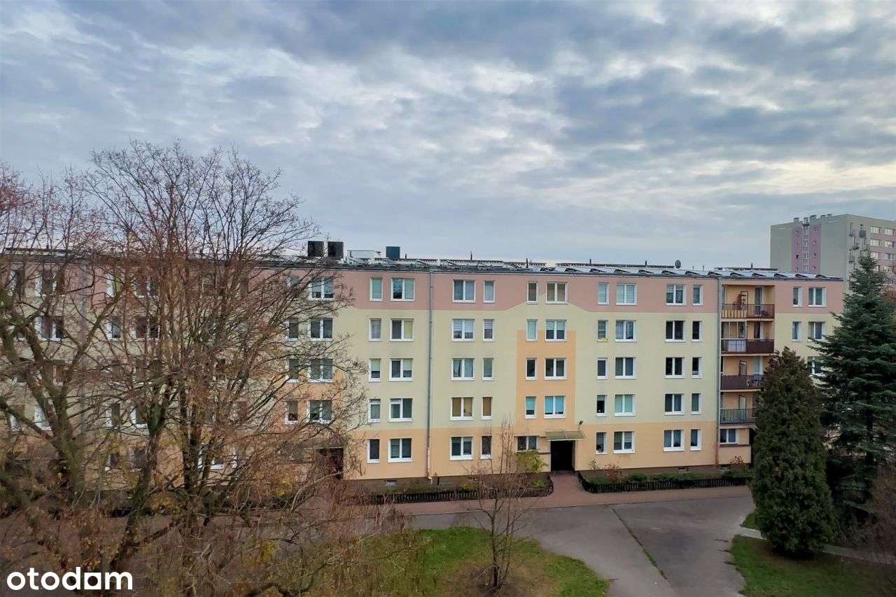 Okolica, metraż, układ - Idealne!-11