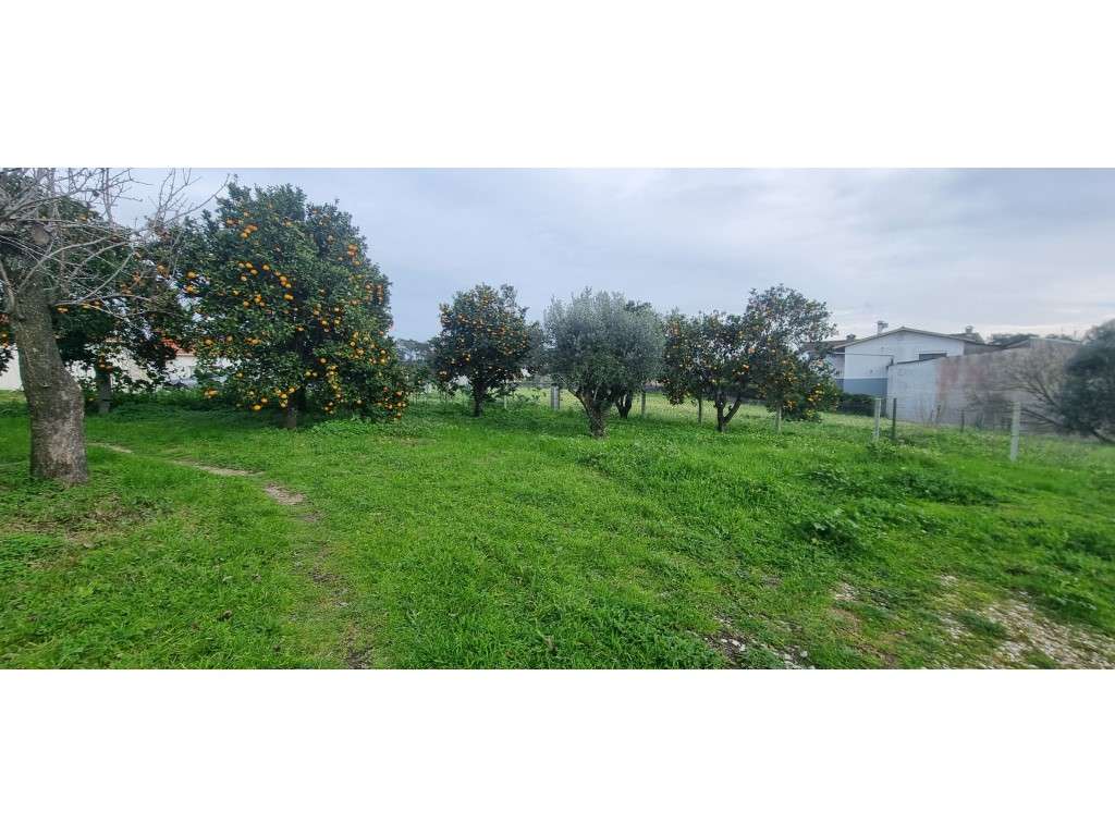 Terreno para construção, bem localizado, zona tranquila e com bons ... - Grande imagem: 3/21