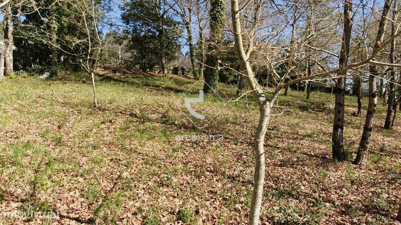 Terreno com  4042m2, viabilidade de construção, com PIP, Formariz - Pa - Grande imagem: 5/47