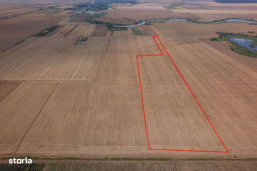 FRUMUSANI - PASAREA, TEREN 14420 MP, FRONT 40 M! - Imagine principală: 1/12