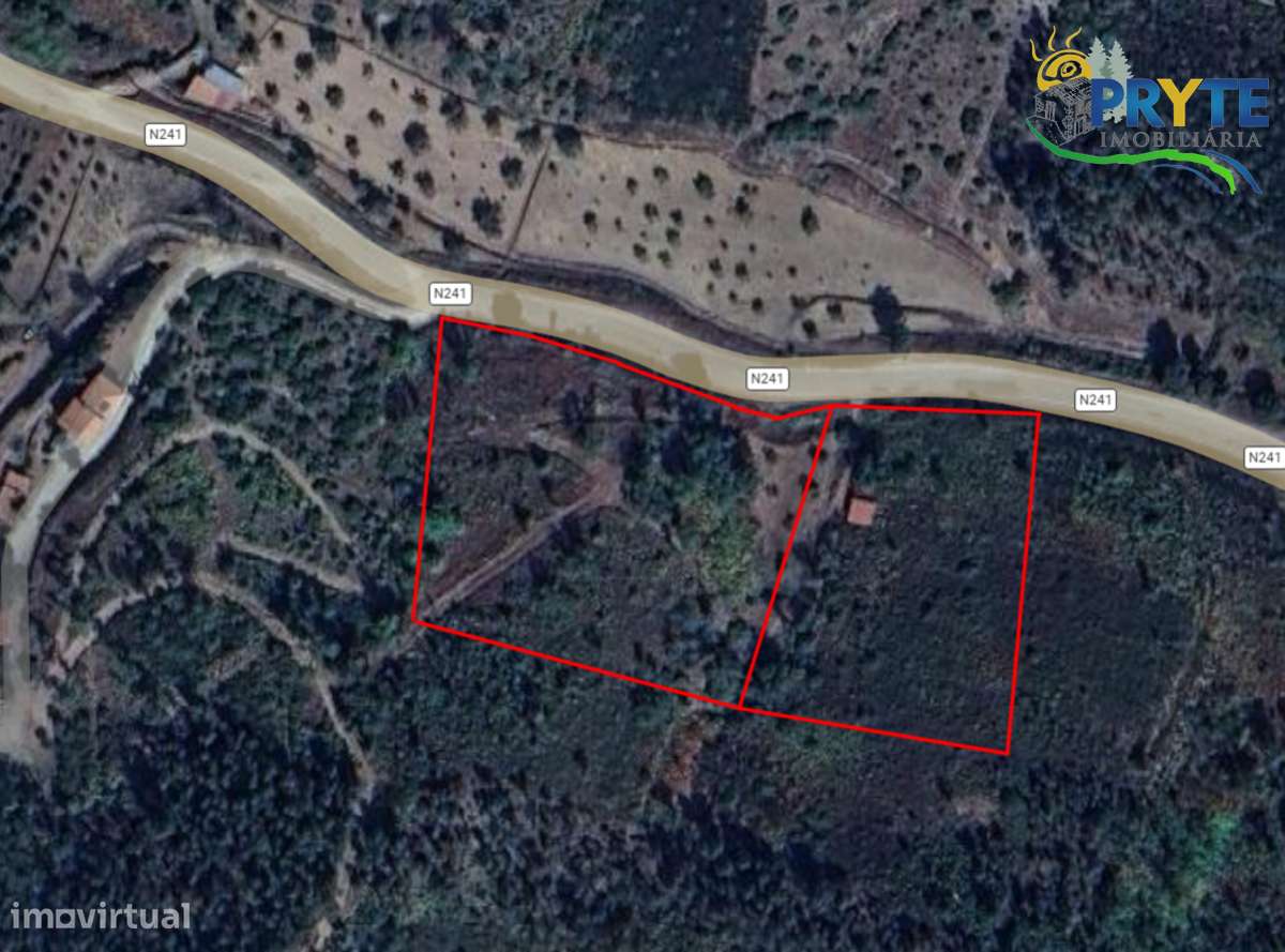 Terreno com uma ruína não registada a 6 quilómetros da Sertã-45