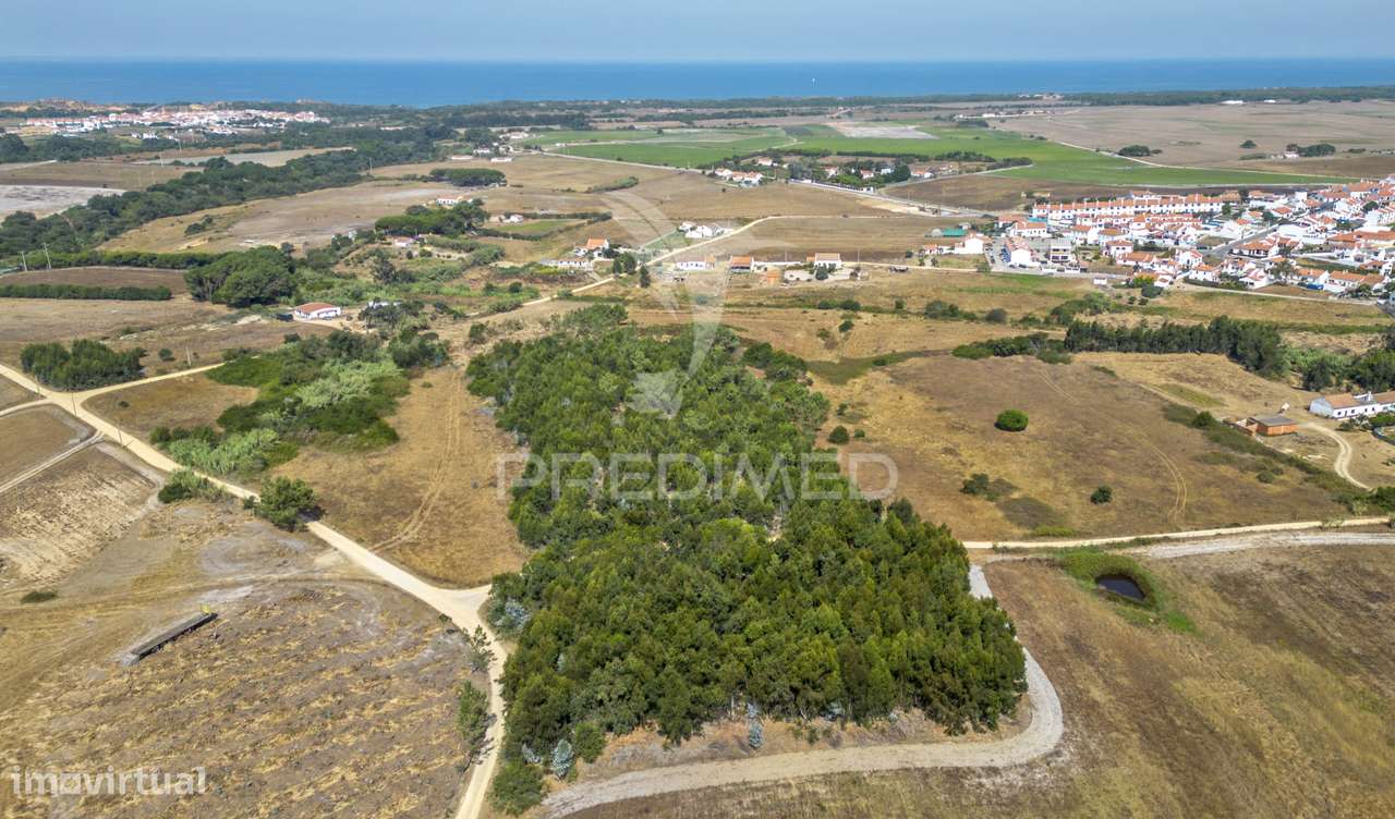 Quinta com 4,9000 ha e ruina de 47,3 m2 em Longueira - Grande imagem: 5/22