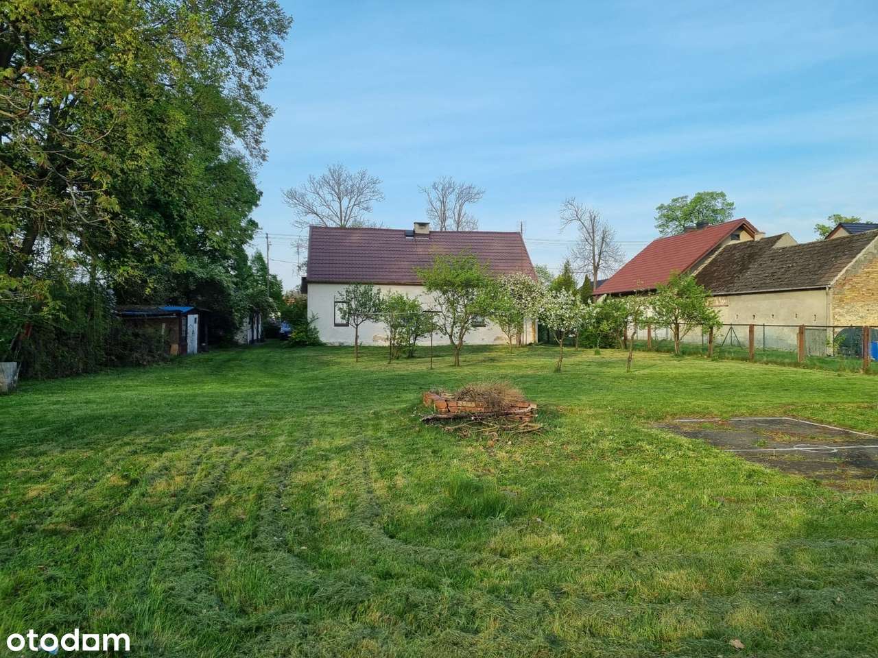 Dom do remontu na dużej działce - Suchy Bór - Pełny obrazek: 5/13