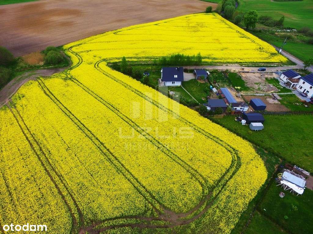 Działka budowlana 963m2 Krąg - Pełny obrazek: 4/8