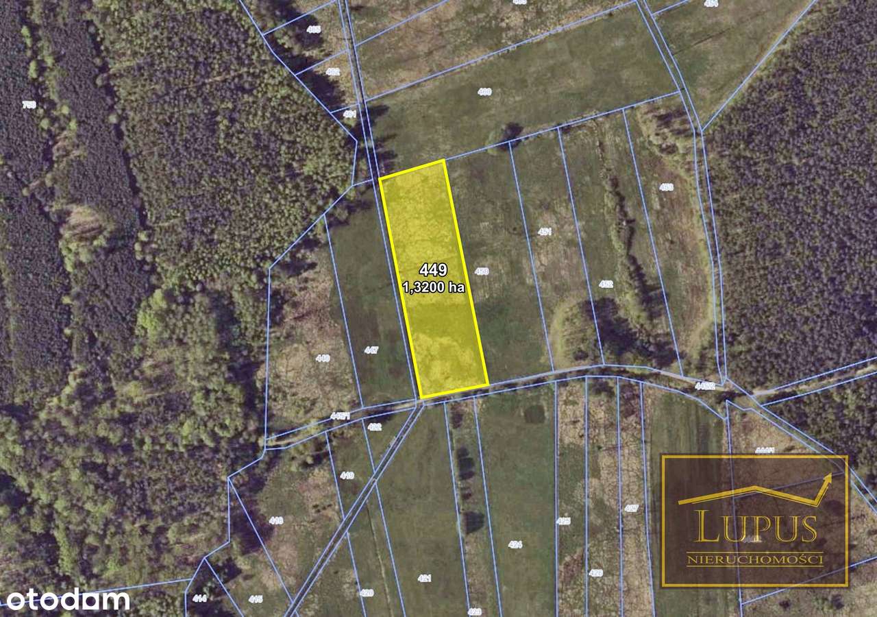 Działki w Grzędzicach-3