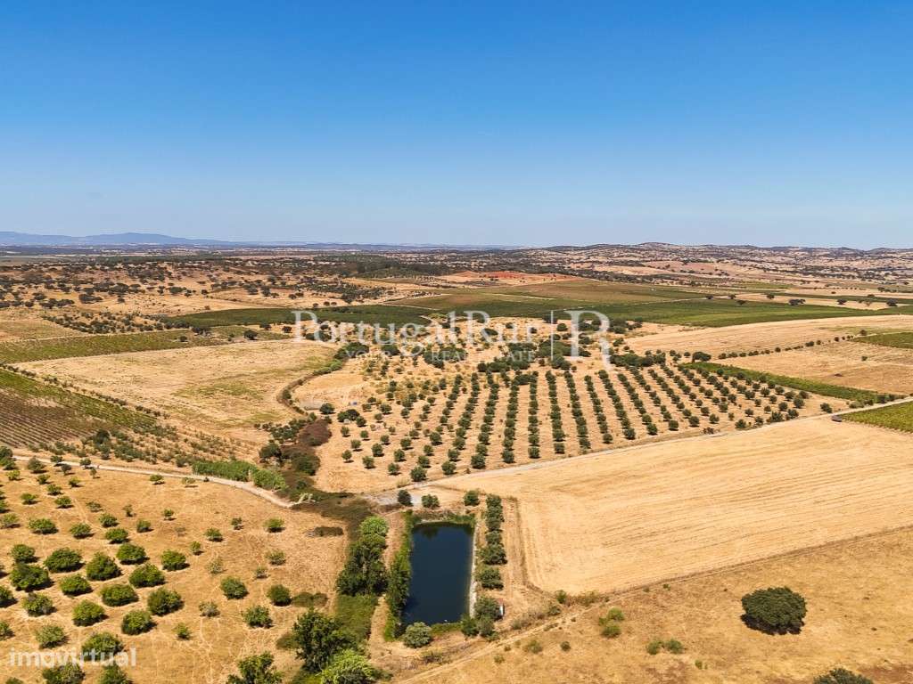 Herdade com 477 hectares no Alentejo - Grande imagem: 4/60