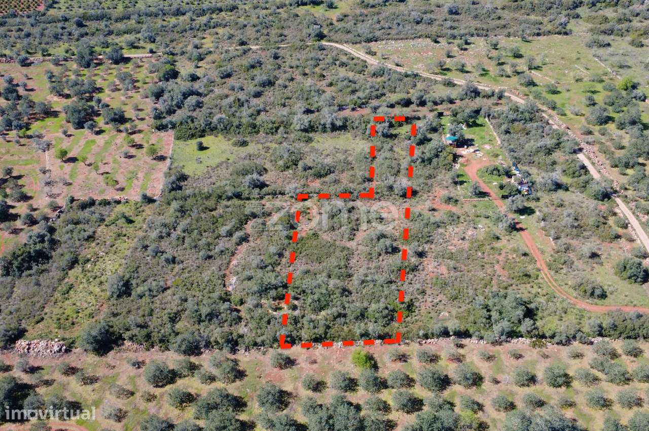 Terreno Rústico com 2.820 m² na zona da Franqueira - Grande imagem: 2/15