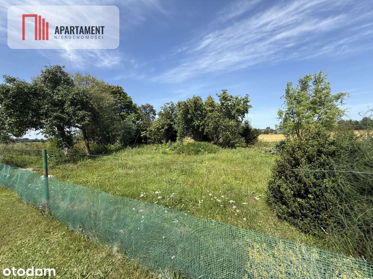 Ostatnia działka budowlana w Nowym Gronowie. - Pełny obrazek: 4/8