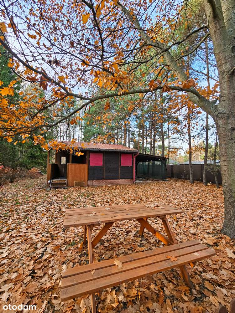 DZIAŁKA BUDOWLANA+LAS |6228 m² | MEDIA W DRODZE | ZALEW PORAJSKI - 3km-7