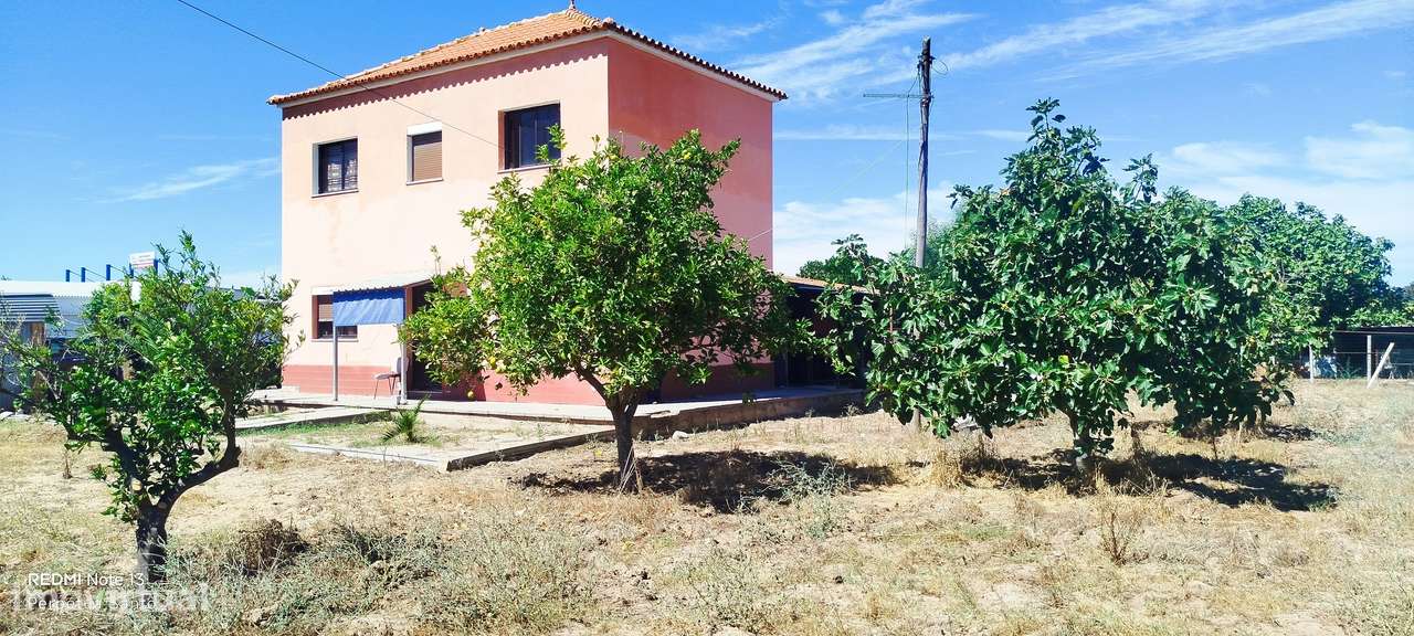 Quinta  5000m2 Viver no Campo Com a Cidade Por Perto Passil Alcochete-58