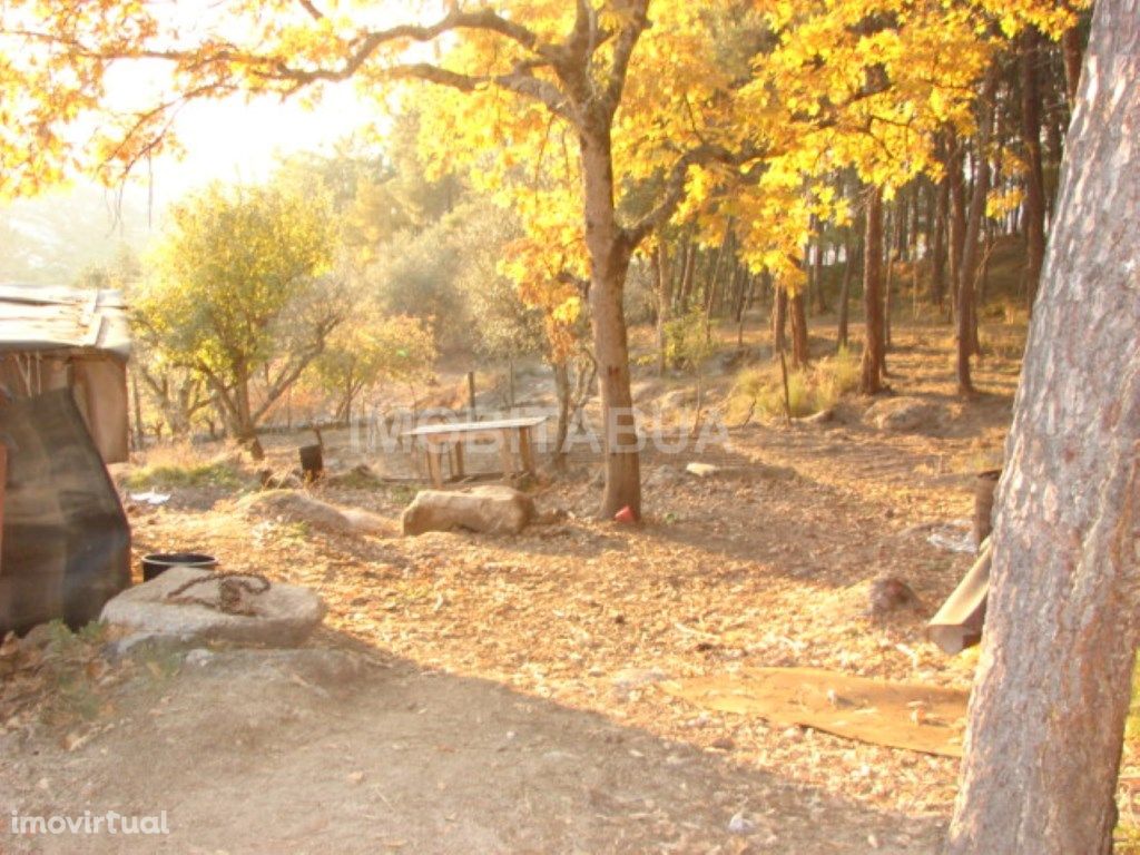 Terreno para construção