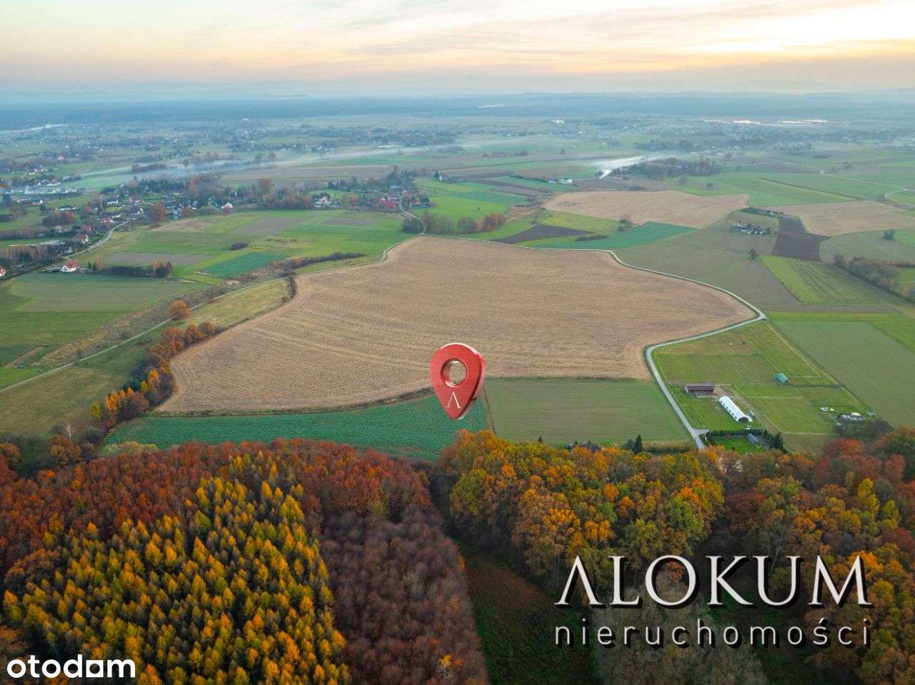 Na sprzedaż działka / Wola Batorska - Pełny obrazek: 4/8