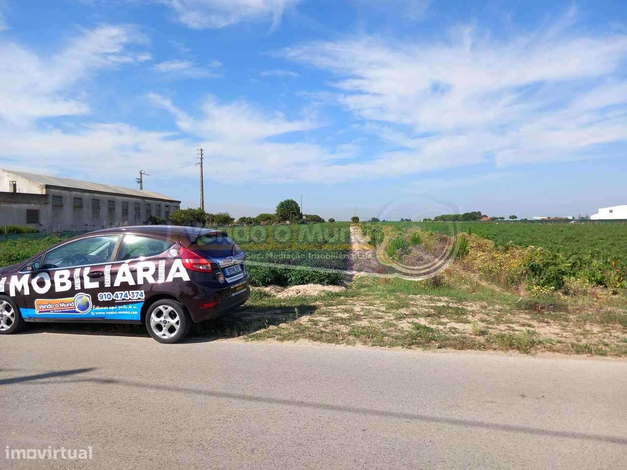 Terreno em Benfica do Ribatejo (BR028) - Grande imagem: 3/3