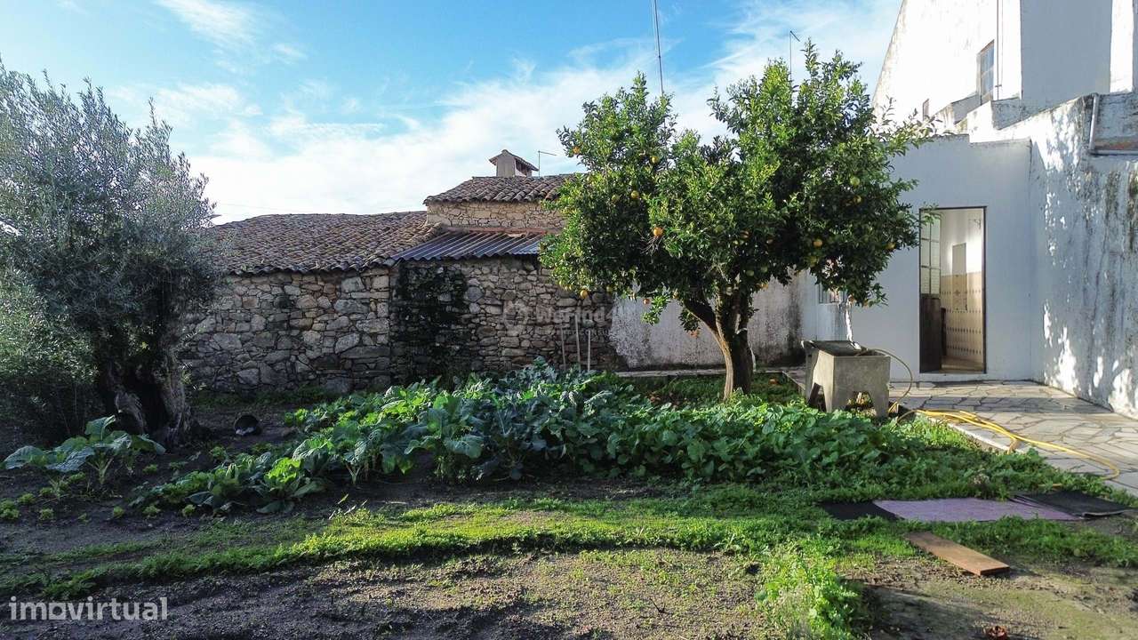 Moradia T3 habitável c/ Quintal e Enorme Potencial de Transformação –-40