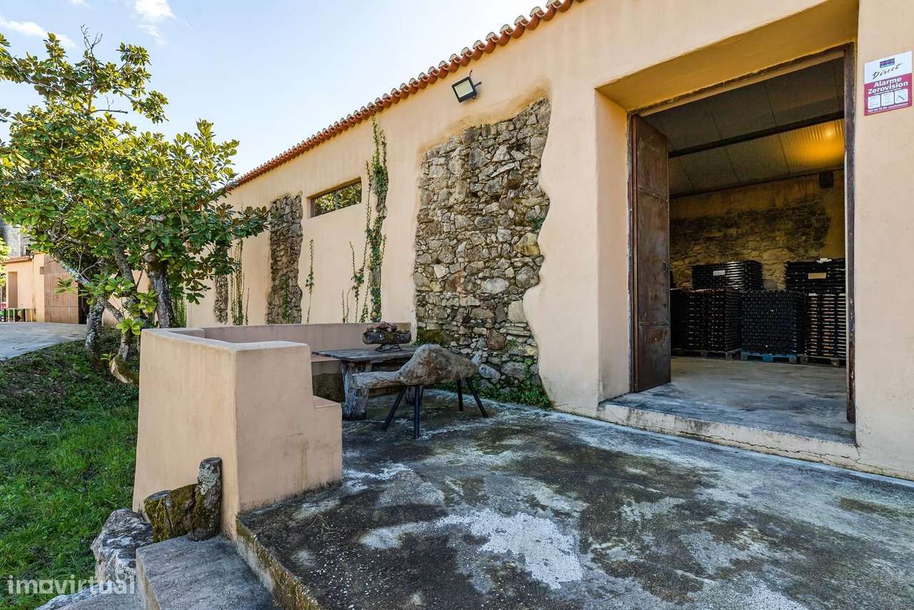 Quinta 4400 m2, Torres Vedras - Grande imagem: 5/41