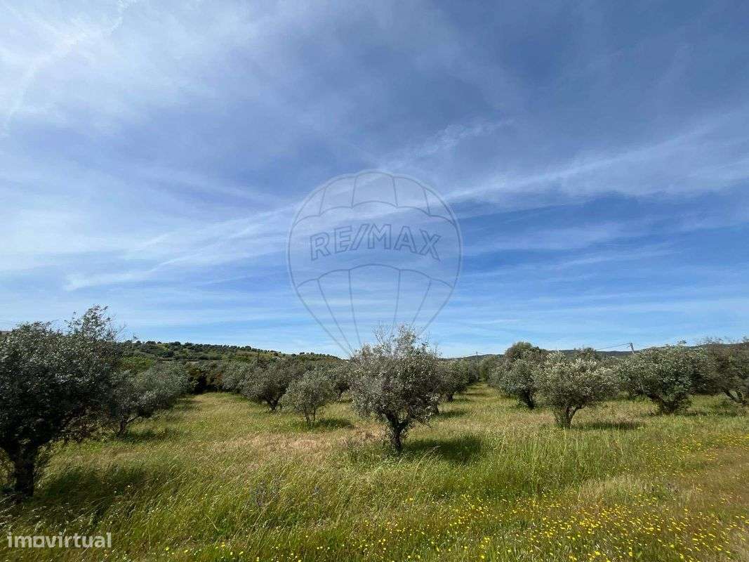 Terreno  para venda - Grande imagem: 2/12