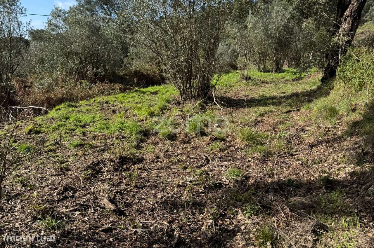 Terreno rústico localizado em Corte Grande, Monchique - Grande imagem: 4/15