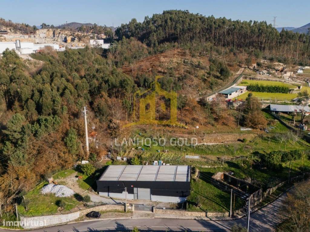 Quinta com Terreno, Armazém e Ruína em Gonça, Guimarães - Oportunid...-23