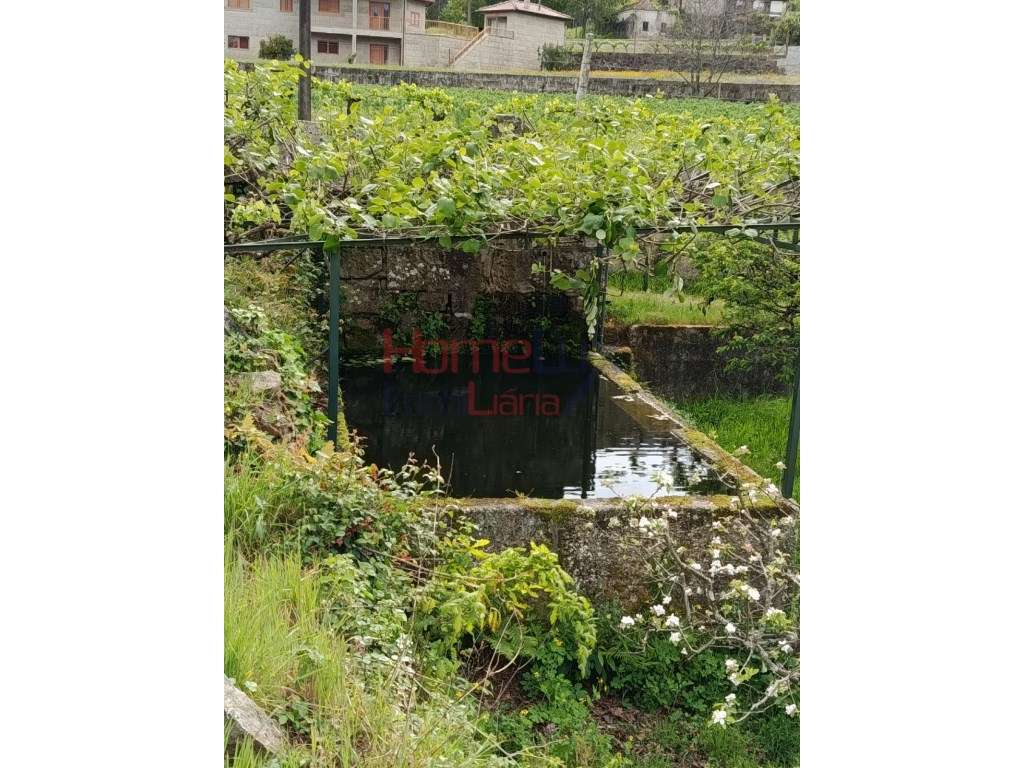 Quinta com Projeto para Turismo Rural em São Pedro do Sul-42