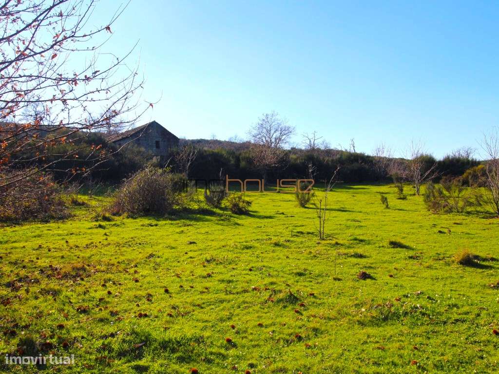 Terreno de 84 hectares-8