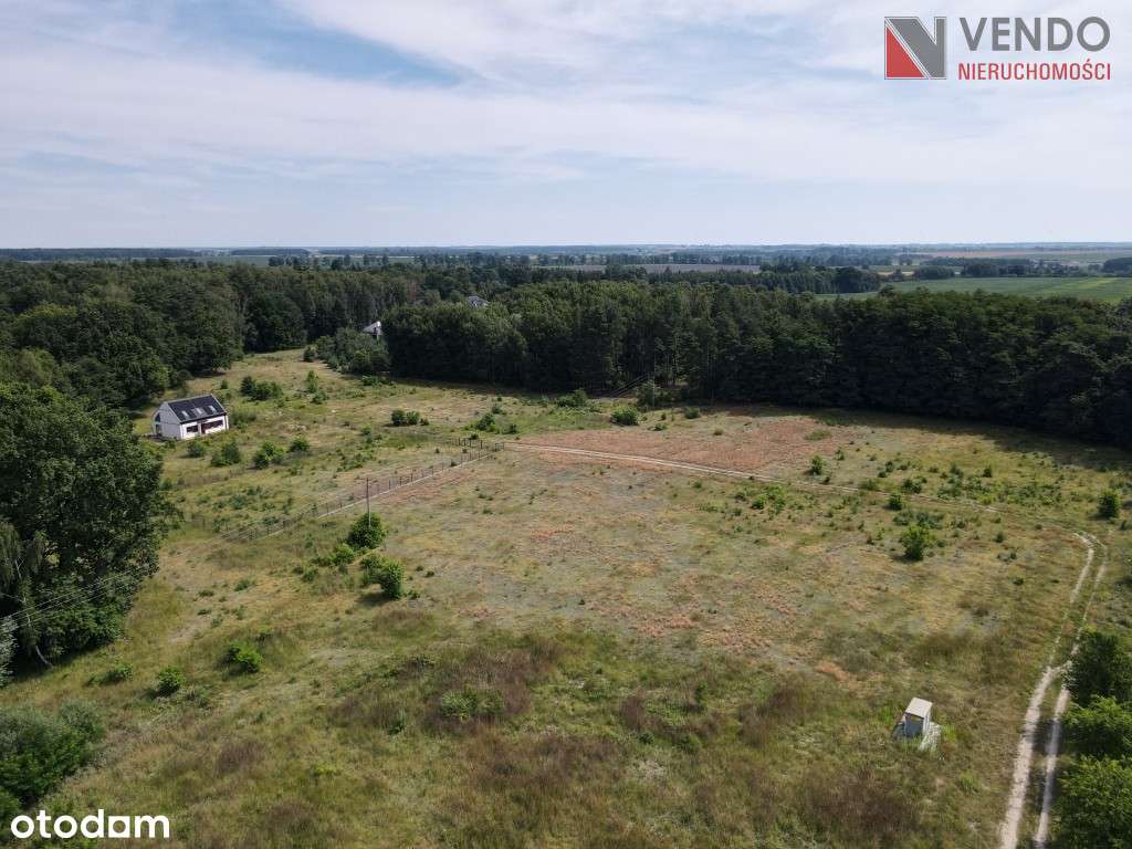 Grunty z WZ Pawłowo Skockie - Pełny obrazek: 4/4