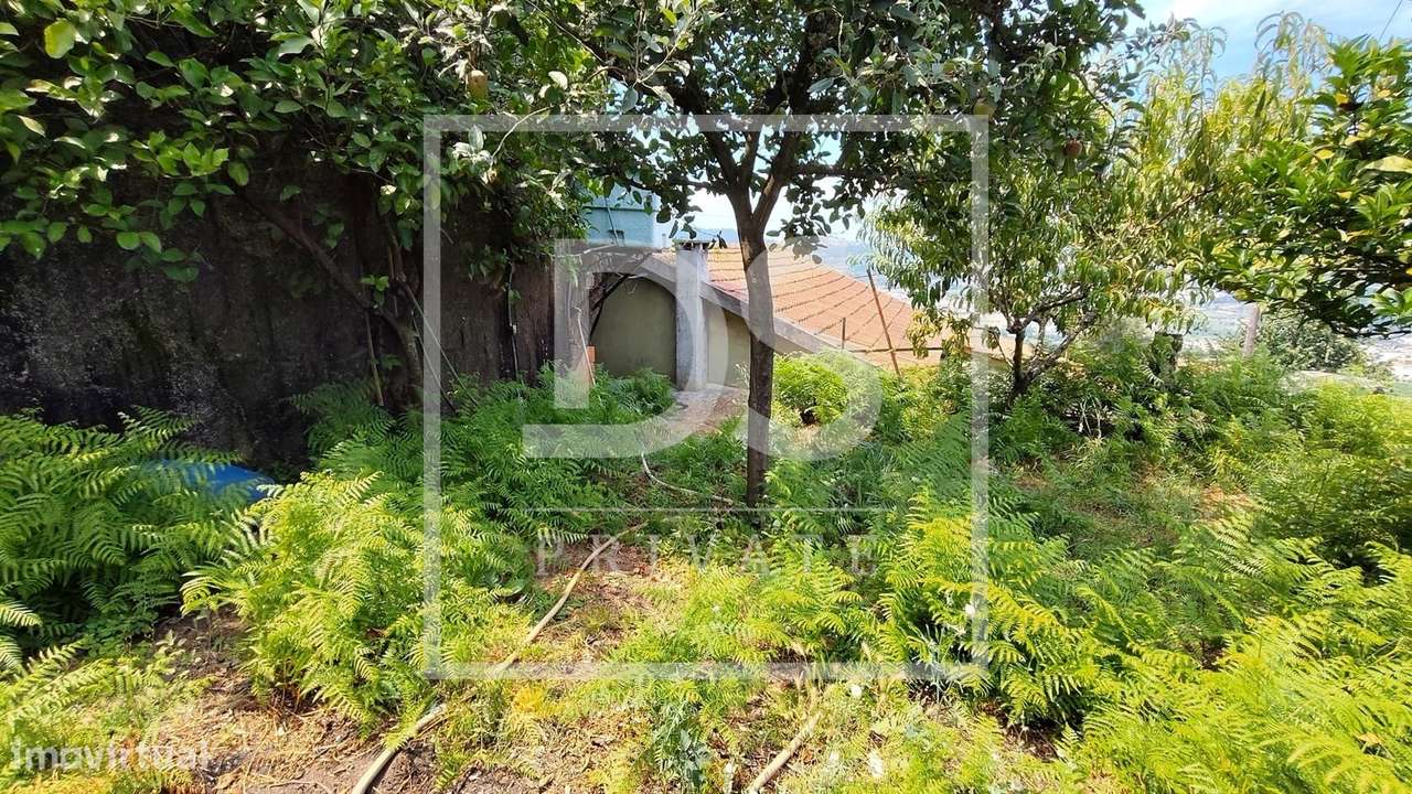 Moradia T3 Venda em Penacova,Felgueiras-51